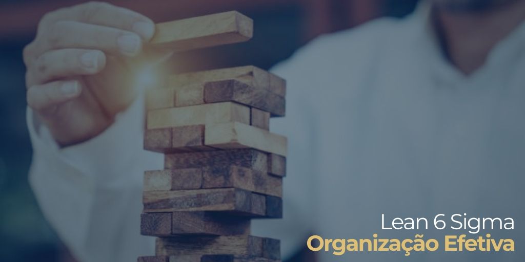 organização efetiva six sigma